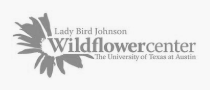 Wildflower Center Logo