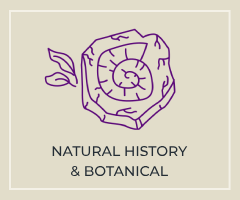 Natural History & Botanical Icon